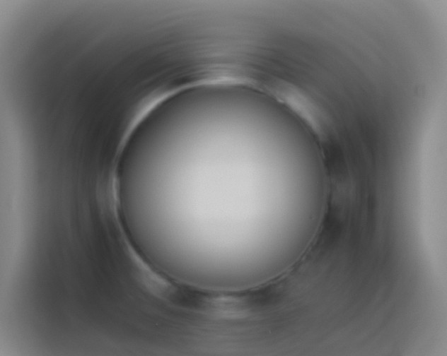 X0000113891476200910011313