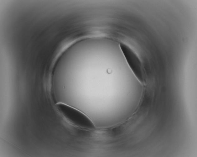 X0000113891477200910011313