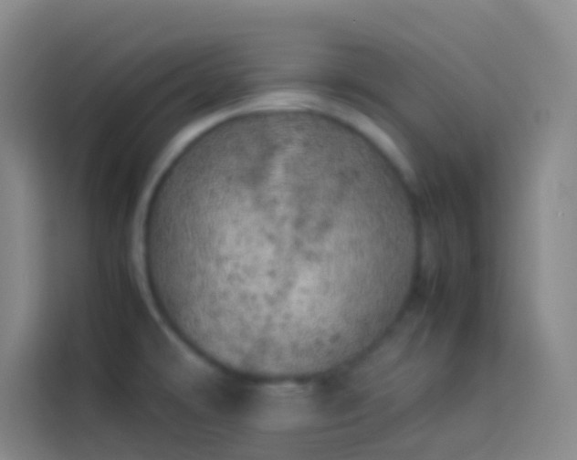 X0000113891478200910011313