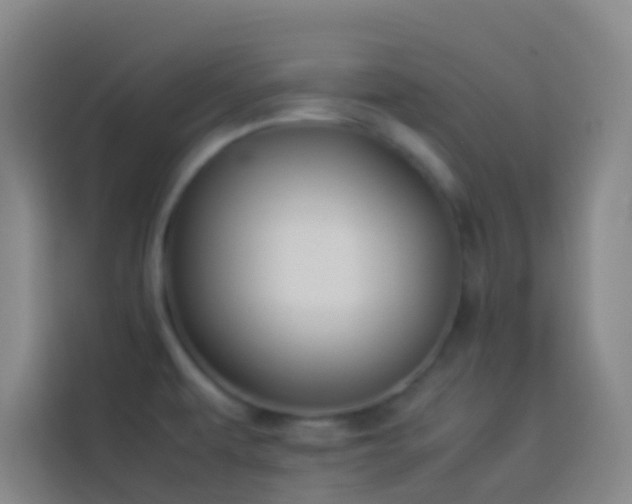 X0000113891479200910011313