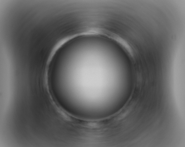 X0000113891480200910011313