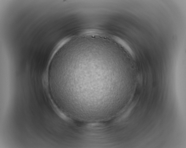 X0000113891482200910011313