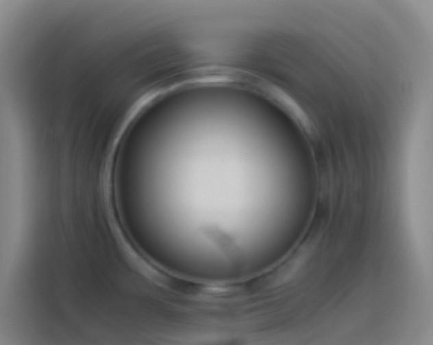 X0000113891483200910011313