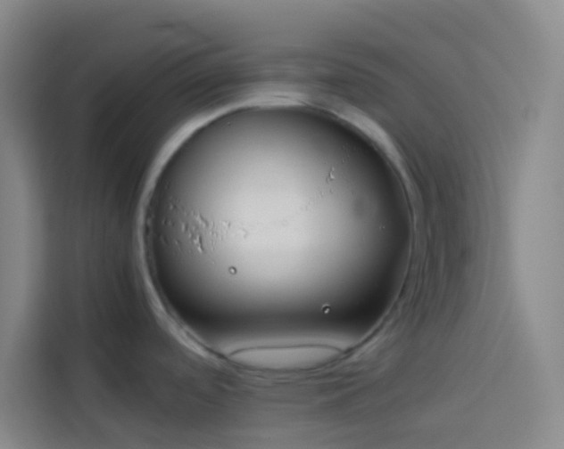 X0000113891488200910011312