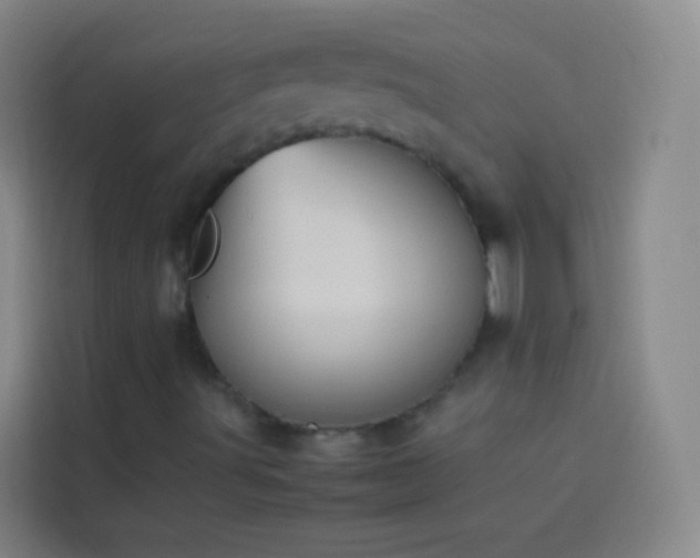 X0000113891491200910011312