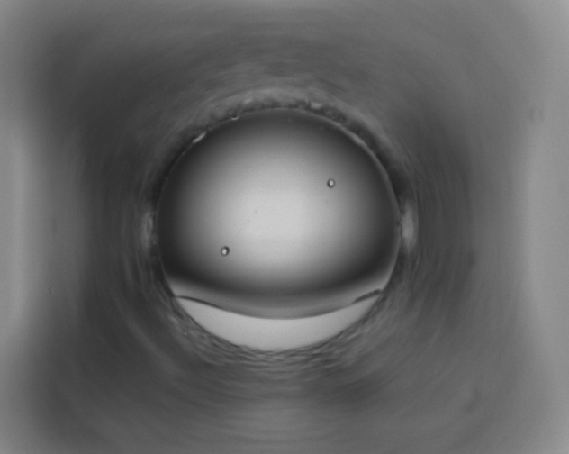 X0000113891492200910011312