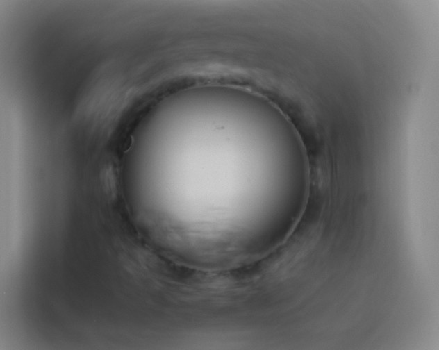 X0000113891493200910011312