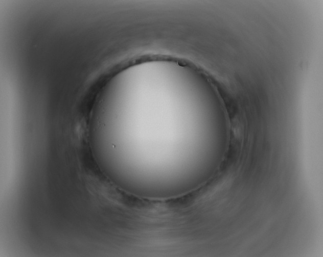 X0000113891495200910011312