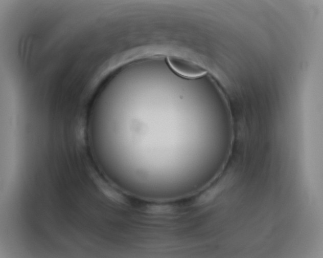 X0000113891499200910011312