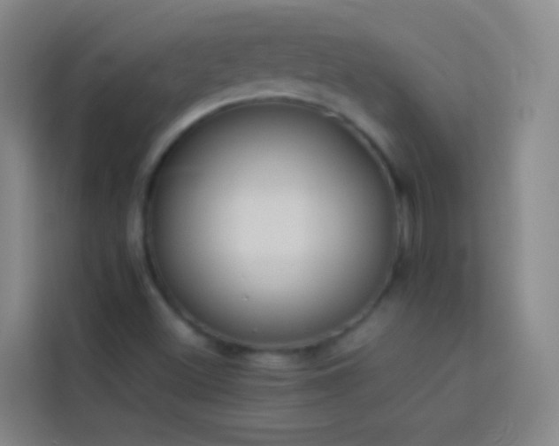 X0000113891500200910011312
