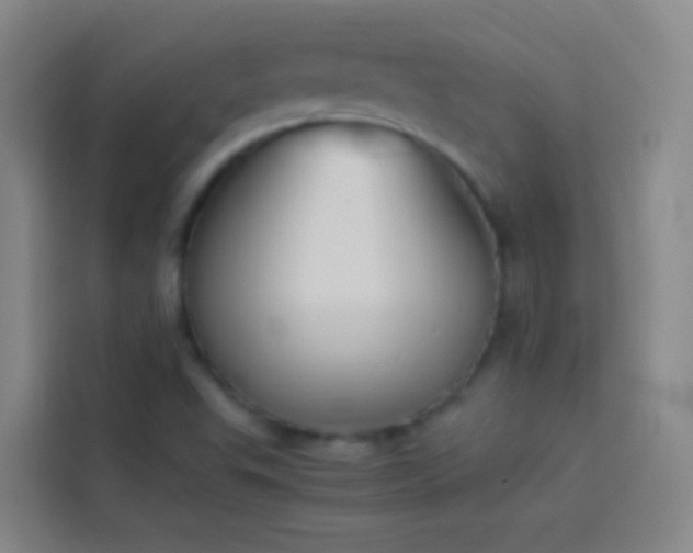 X0000113891503200910011312