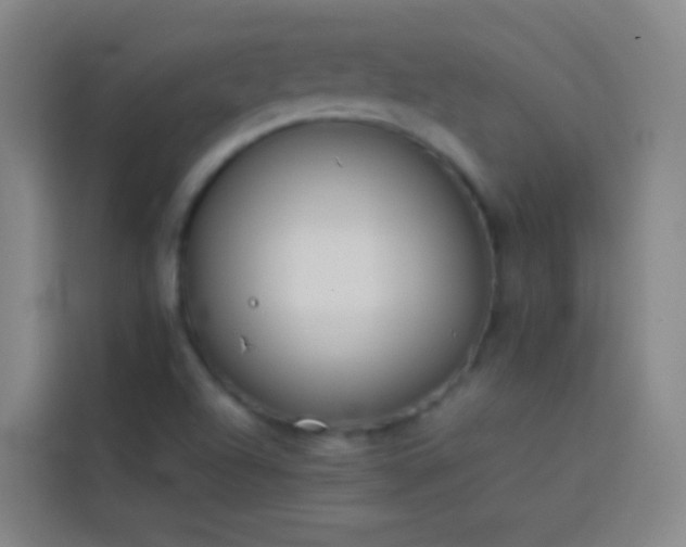 X0000113891504200910011312