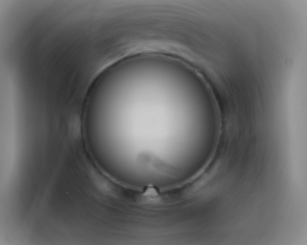 X0000113891505200910011312