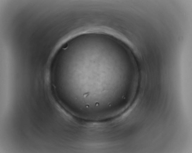 X0000113891506200910011312