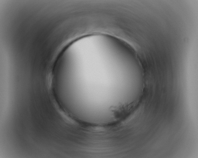X0000113891507200910011312