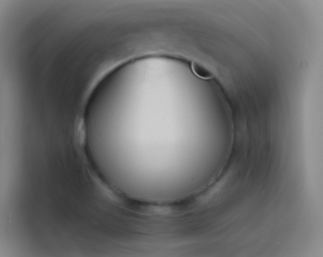 X0000113891509200910011312