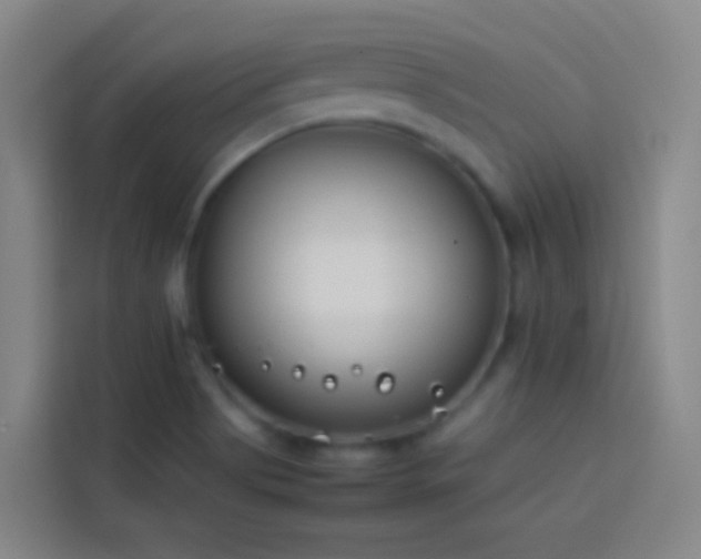 X0000113891513200910011312