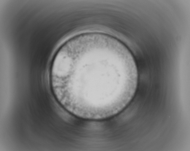 X0000113891514200910011312