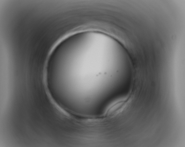 X0000113891518200910011312