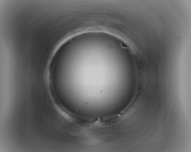 X0000113891519200910011312