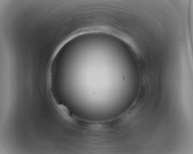 X0000113891524200910011312