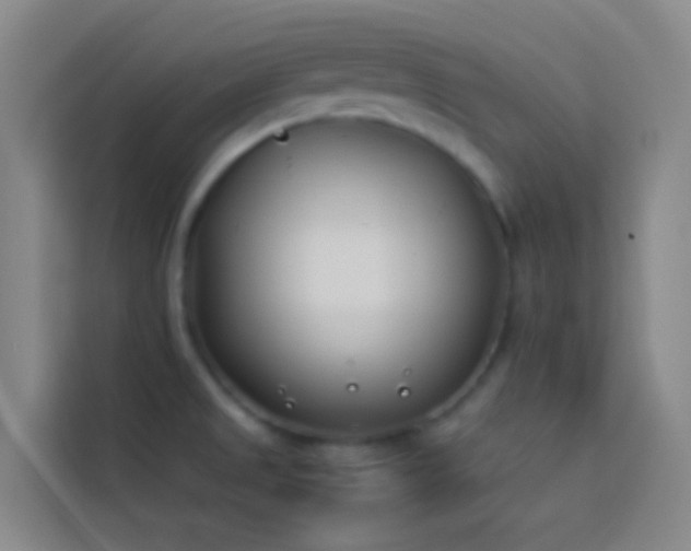 X0000113891525200910011312