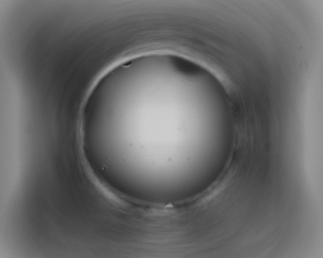X0000113891526200910011312