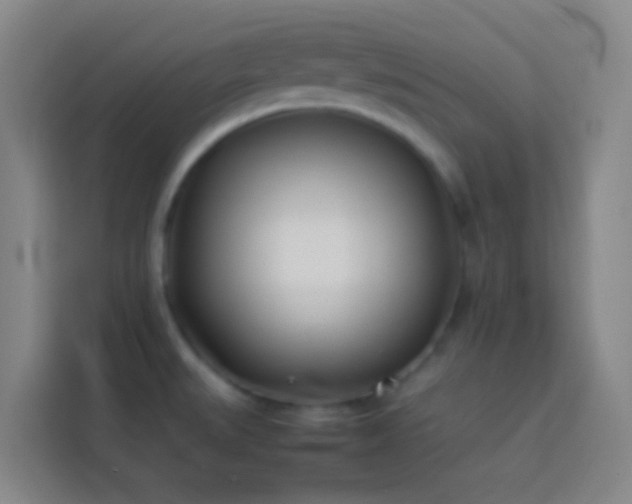 X0000113891527200910011312