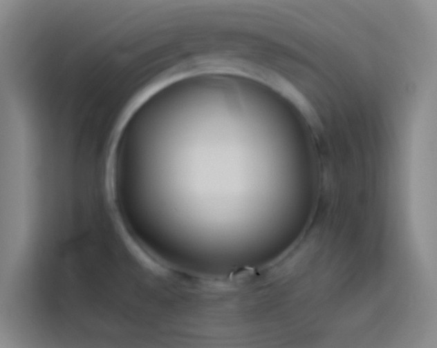 X0000113891528200910011312