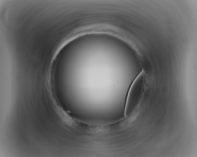 X0000113891530200910011312