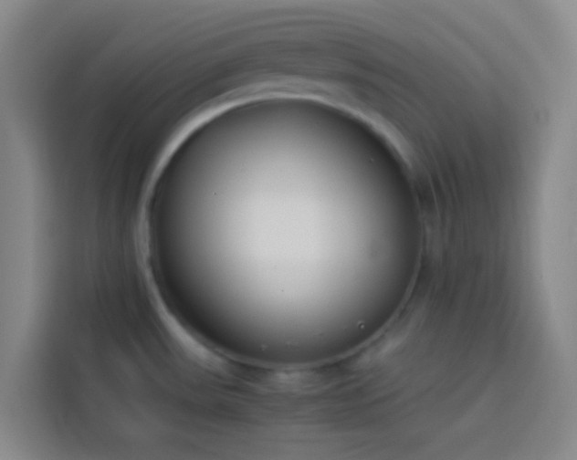 X0000113891531200910011312