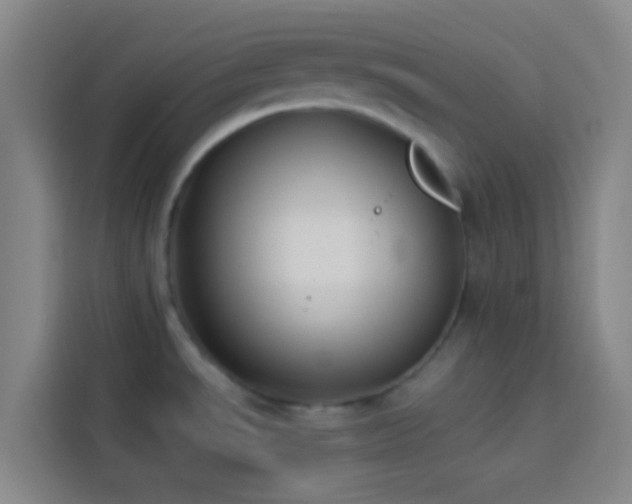 X0000113891534200910011312