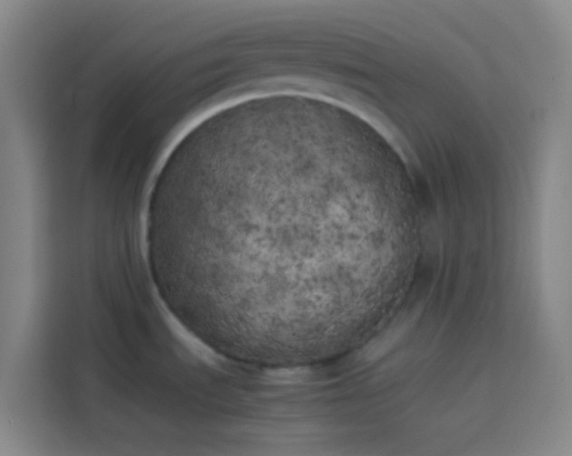 X0000113891535200910011312