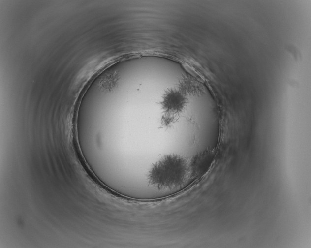 X0000113890002200910081818