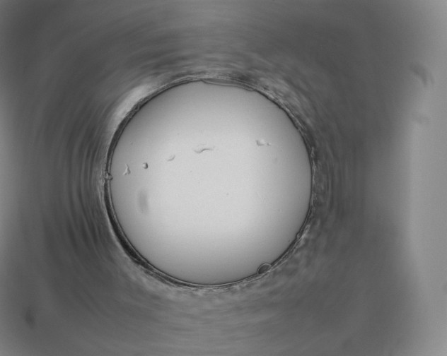 X0000113890003200910081818