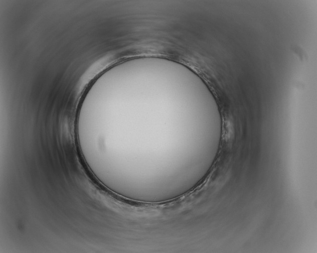 X0000113890004200910081818