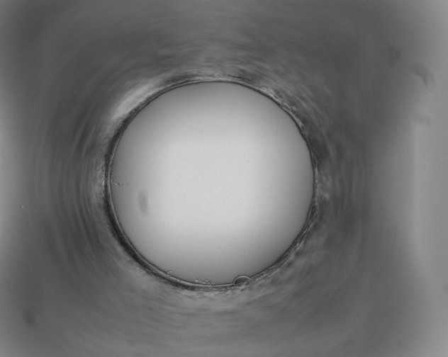 X0000113890005200910081817