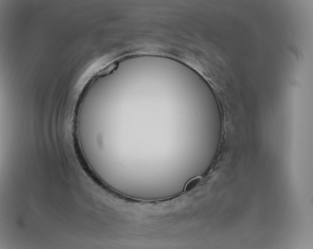 X0000113890007200910081817