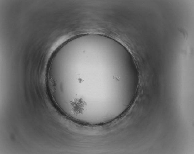 X0000113890008200910081817