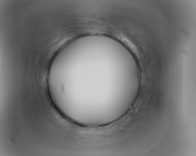 X0000113890009200910081817