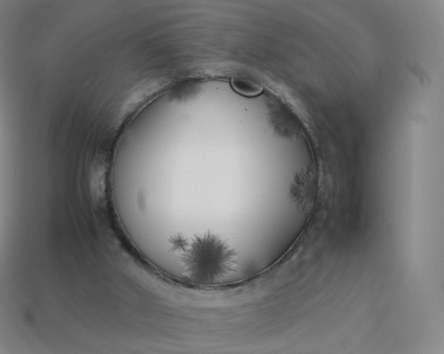 X0000113890010200910081817