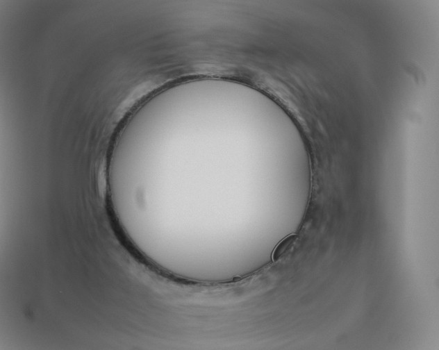 X0000113890011200910081817