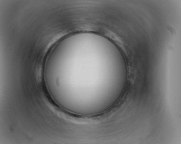 X0000113890012200910081817