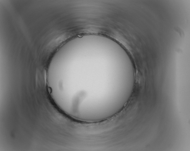 X0000113890013200910081817