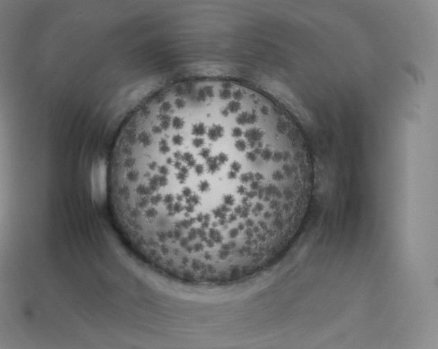 X0000113890014200910081817