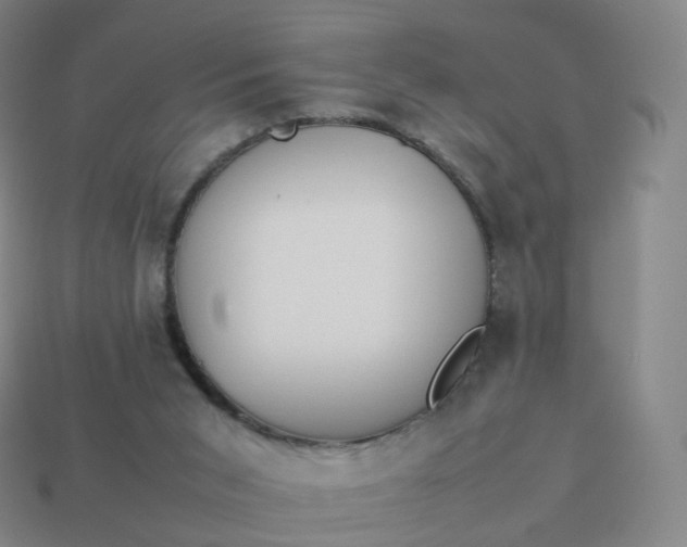 X0000113890015200910081817