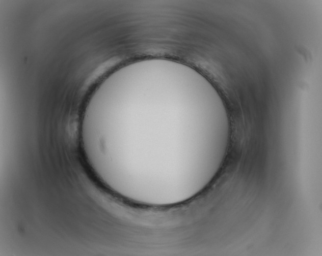 X0000113890016200910081817