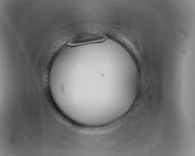 X0000113890017200910081817