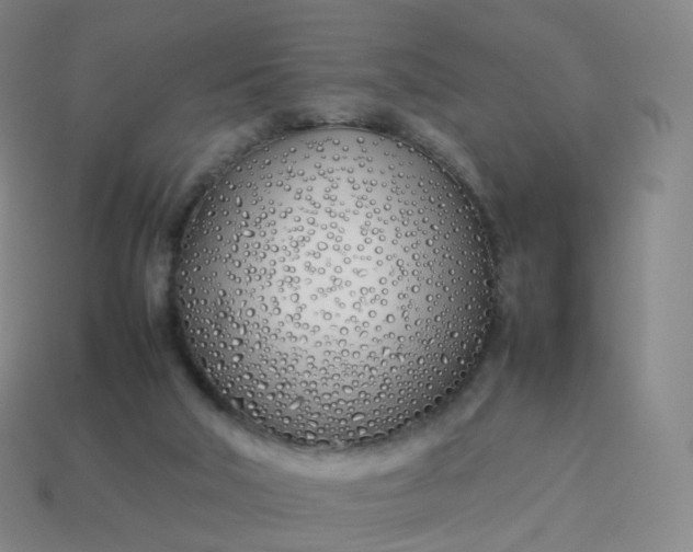 X0000113890018200910081817