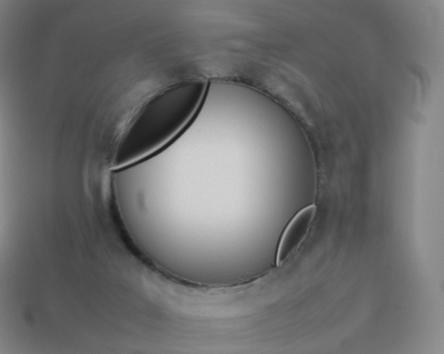 X0000113890019200910081817